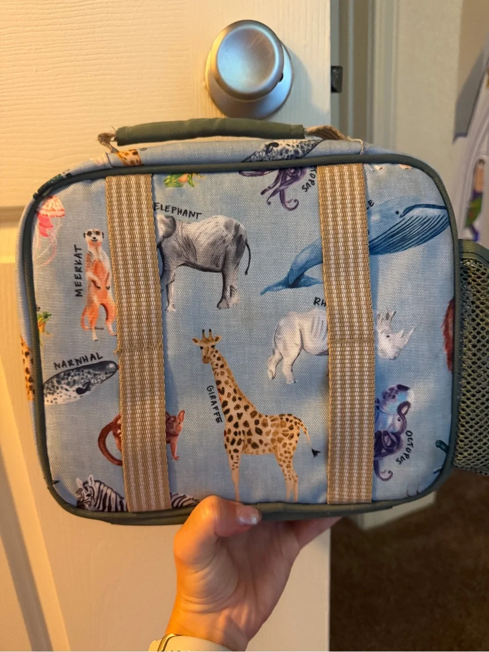 Pottery Barn Kids Animal Print Lunch Bag - Light Blue & Green Trim